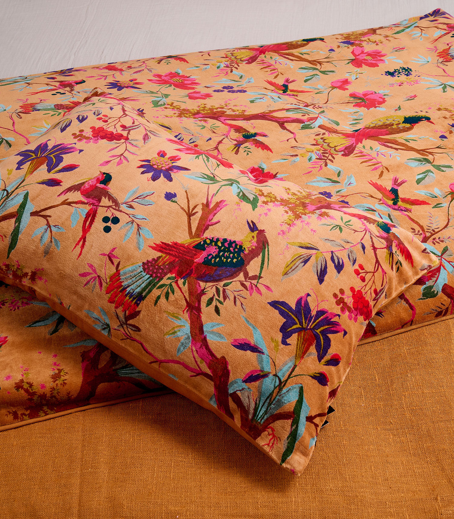 Coussin Birdy velours - Haomy