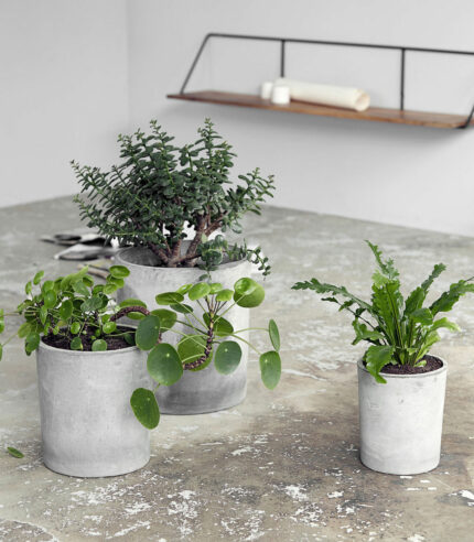 Pots d’extérieur “Ave” en béton gris de la marque House Doctor. Le lot se compose en trois tailles. Les pots sont en béton dans un joli ton gris et leur look est minimaliste et moderne