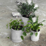 Pots d’extérieur “Ave” en béton gris de la marque House Doctor. Le lot se compose en trois tailles. Les pots sont en béton dans un joli ton gris et leur look est minimaliste et moderne