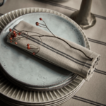 Lot de 4 serviettes - House doctor